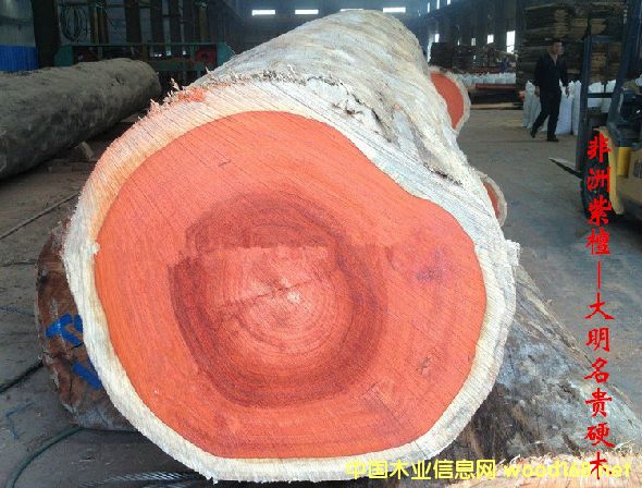 ľ�Ę�NԔ��--������̴  �׷Q�����޼t���桢�B����̴