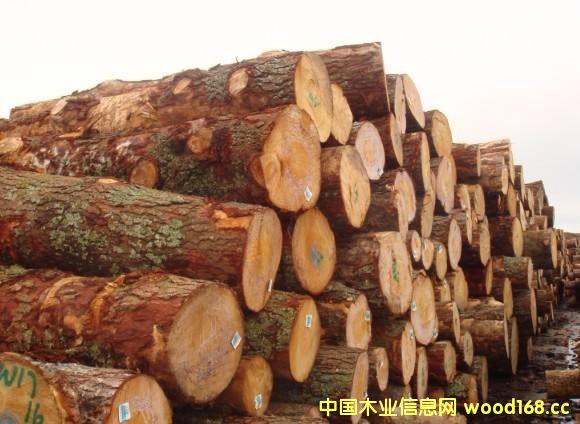 ӡ���������mԭľ�������M(j��n)���Ј�(ch��ng) 2017�������^�m(x��)���L(zh��ng)