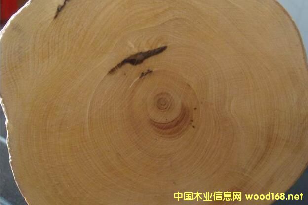 巴新木材手冊--巴新材中文和英文名對照