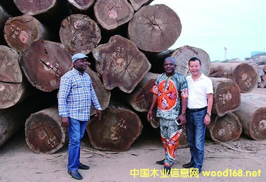 ����׃ȁ��֘I����λ���L�W�R�f����H���^����