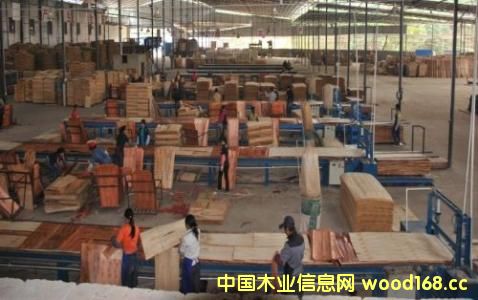 ӡ���z�ϰ�����(qi��ng)�ţ�����(y��ng)���� �o�Ї�(gu��)�������I(y��)����(l��i)�����C(j��)