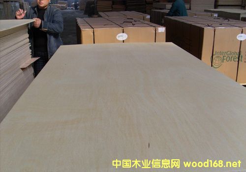 �R�ʳ����z�ϰ峬17�|��Ԫ ͬ�����L(zh��ng)6.7%