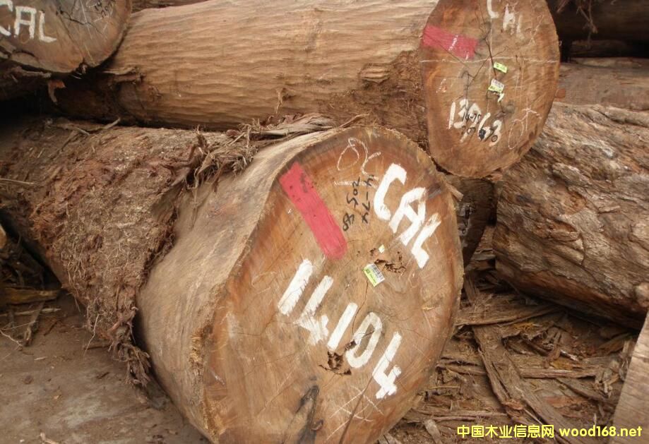 ���_�Tľ��-���ǹ���CAL��CL�� ԭľ