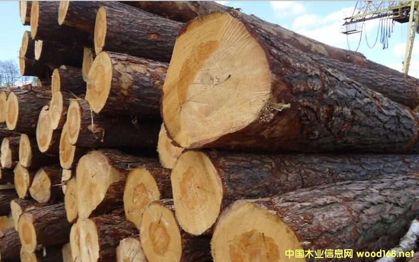 �B�T���Q(m��o)�^(q��)�|�ɿڰ�ľ���Ԟ����m������ԭľ����