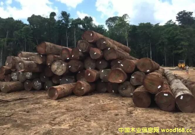 �K����ľ�ĵĴ������p���Kľ