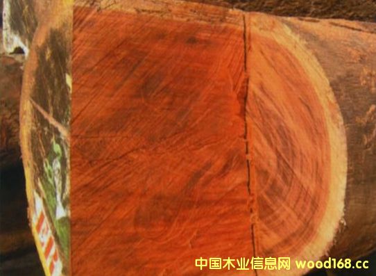 �ͻ����ڳ��چ��}׃�ø��ӏ��s