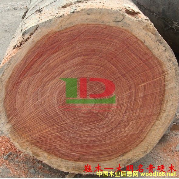 ľ�Ę�NԔ��--Ьľ  �׷Q���tõ�塢õ����Rľ���t��ľ