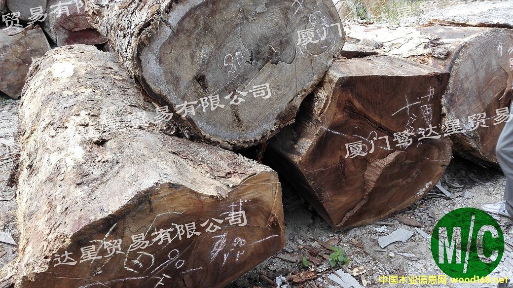 ��������ľ