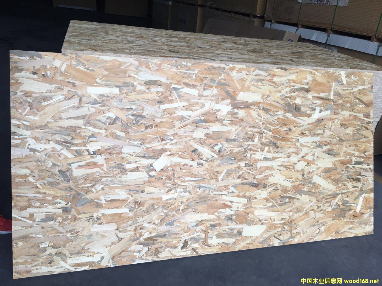 15MM��ľ�oȩOSB