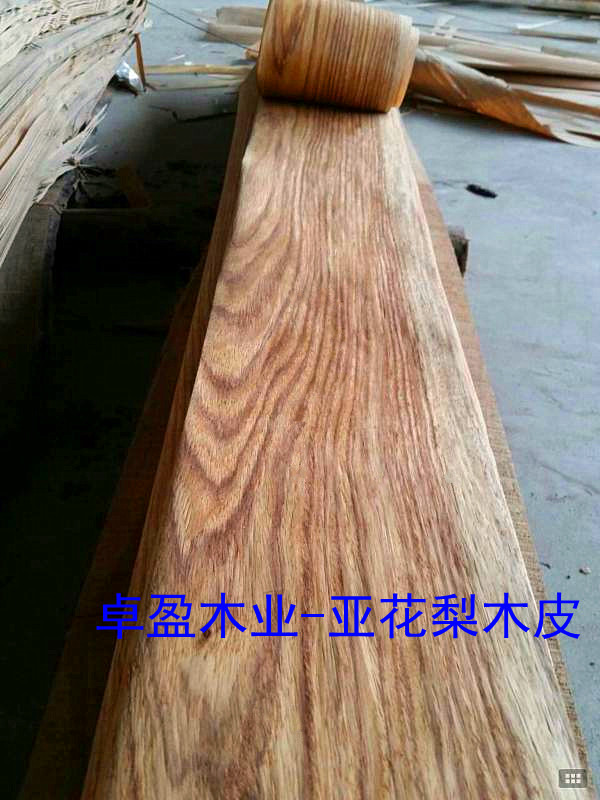 �����̴0.3MMľƤ��Ԕ����B