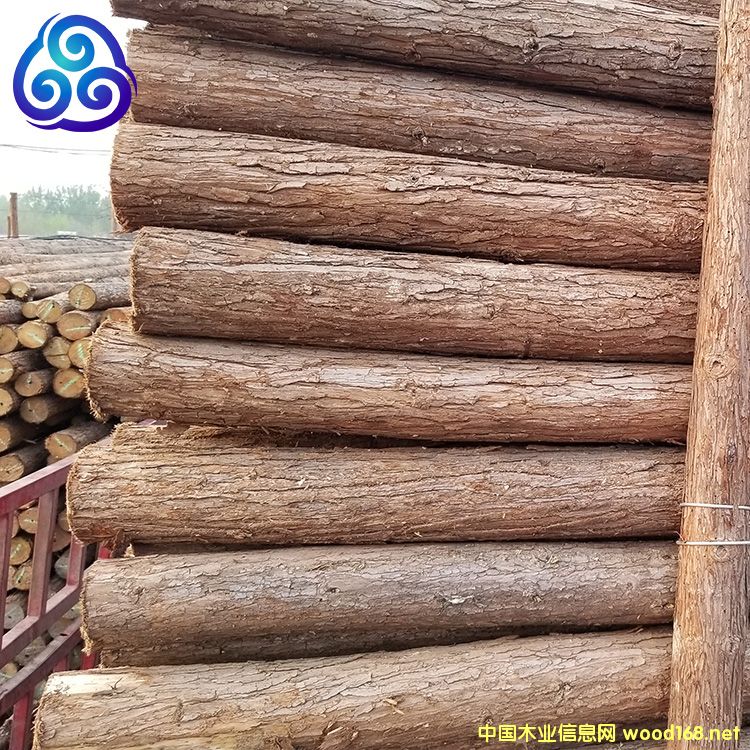 ľ����Ԕ����B