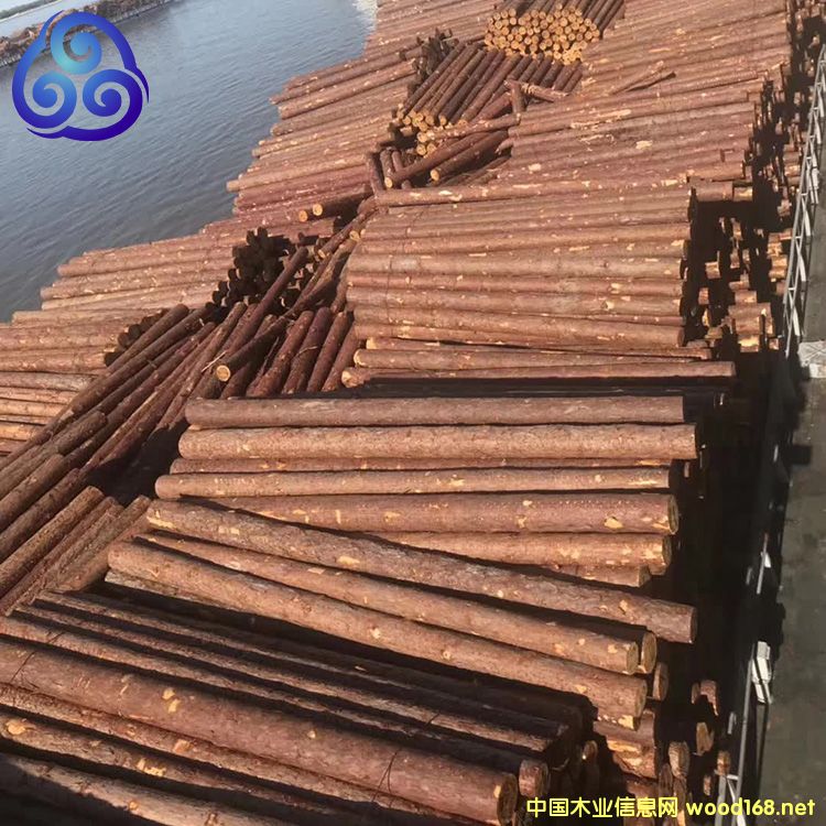 ���~���S���ə_�lľ����Ԕ����B