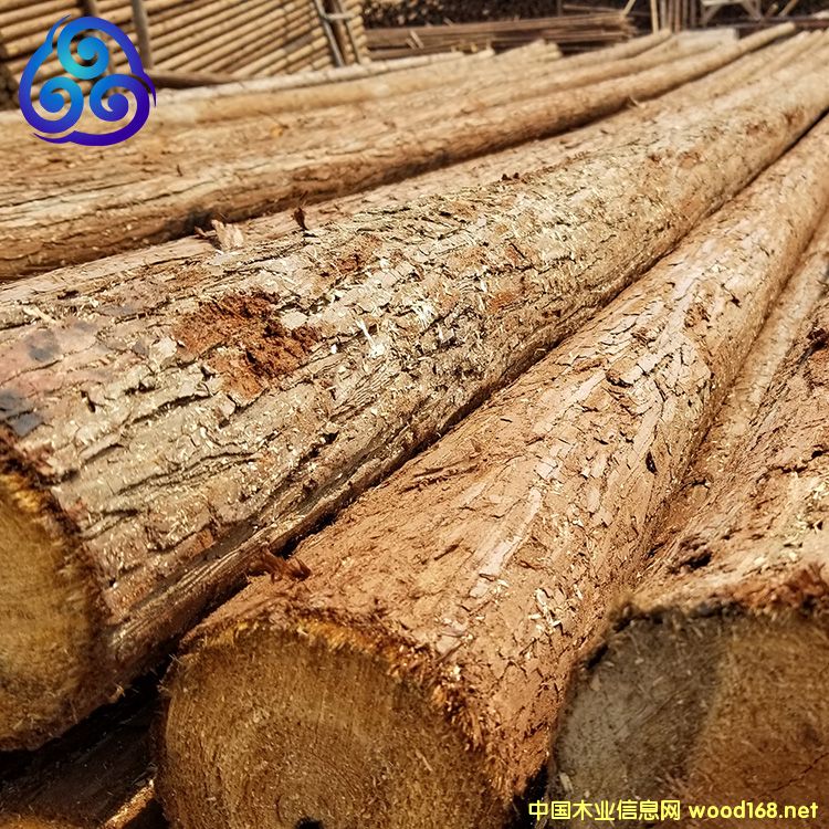 ľ����Ԕ����B