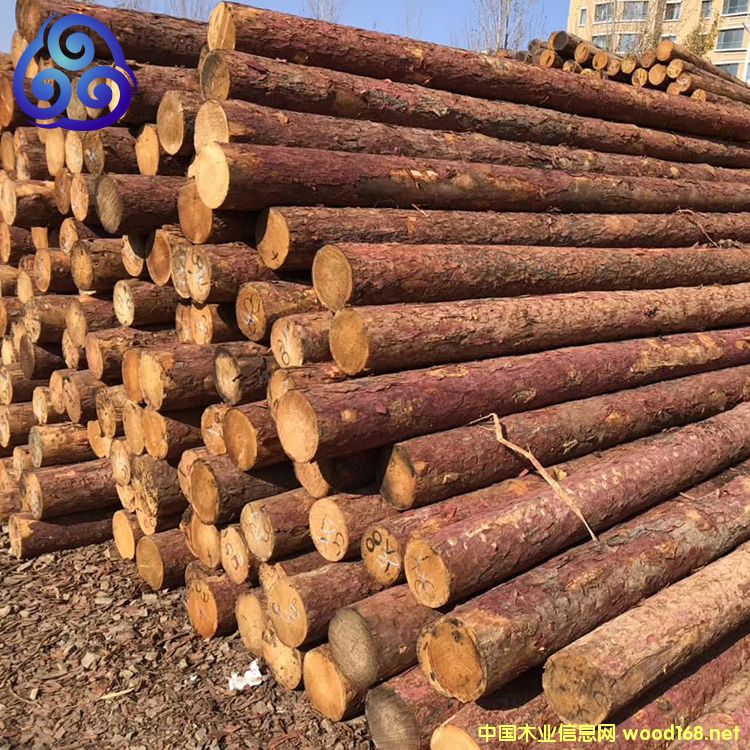 ���~���S���ə_�lľ����Ԕ����B