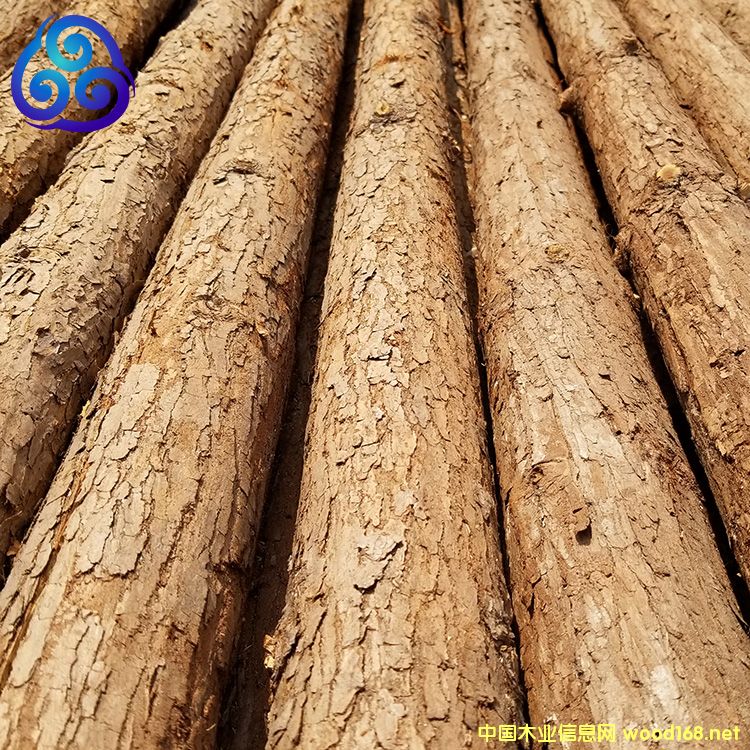 [��] ���ɳ�Uֱ��������̷��o����ɼľ�UԴ�^؛