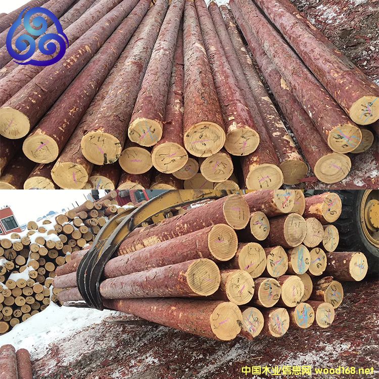 ���~���S���ə_�lľ����Ԕ����B