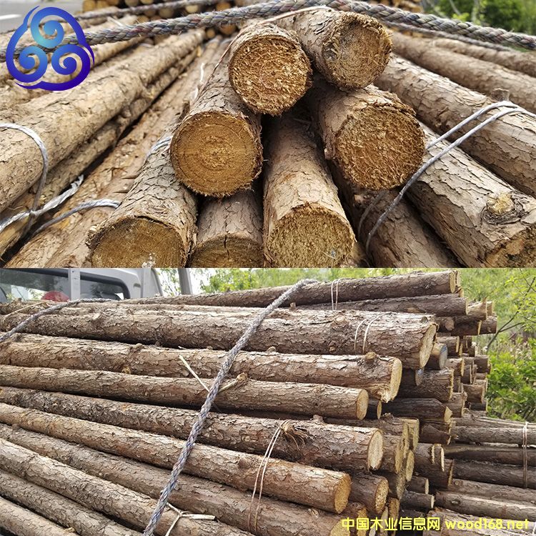 ֲ��U��Ԕ����B