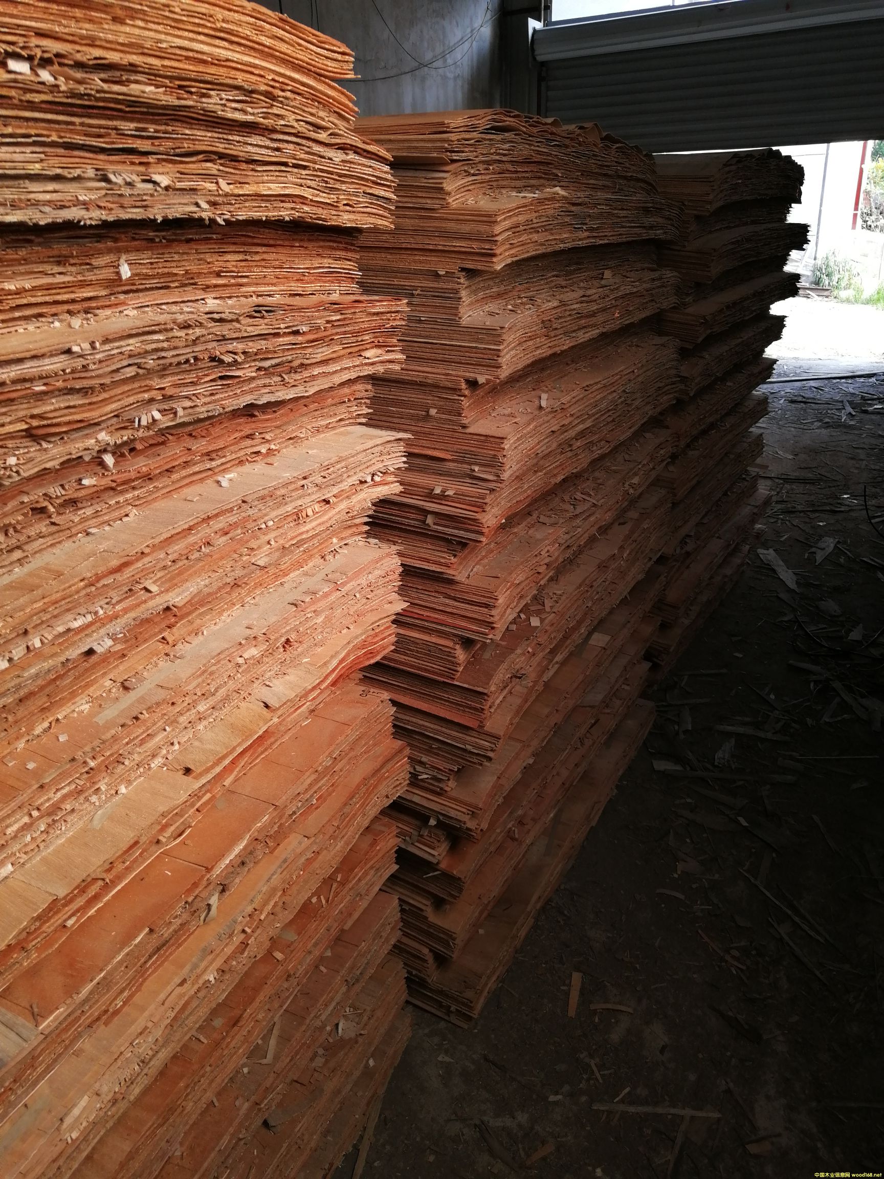 ���L���Ԕ����B