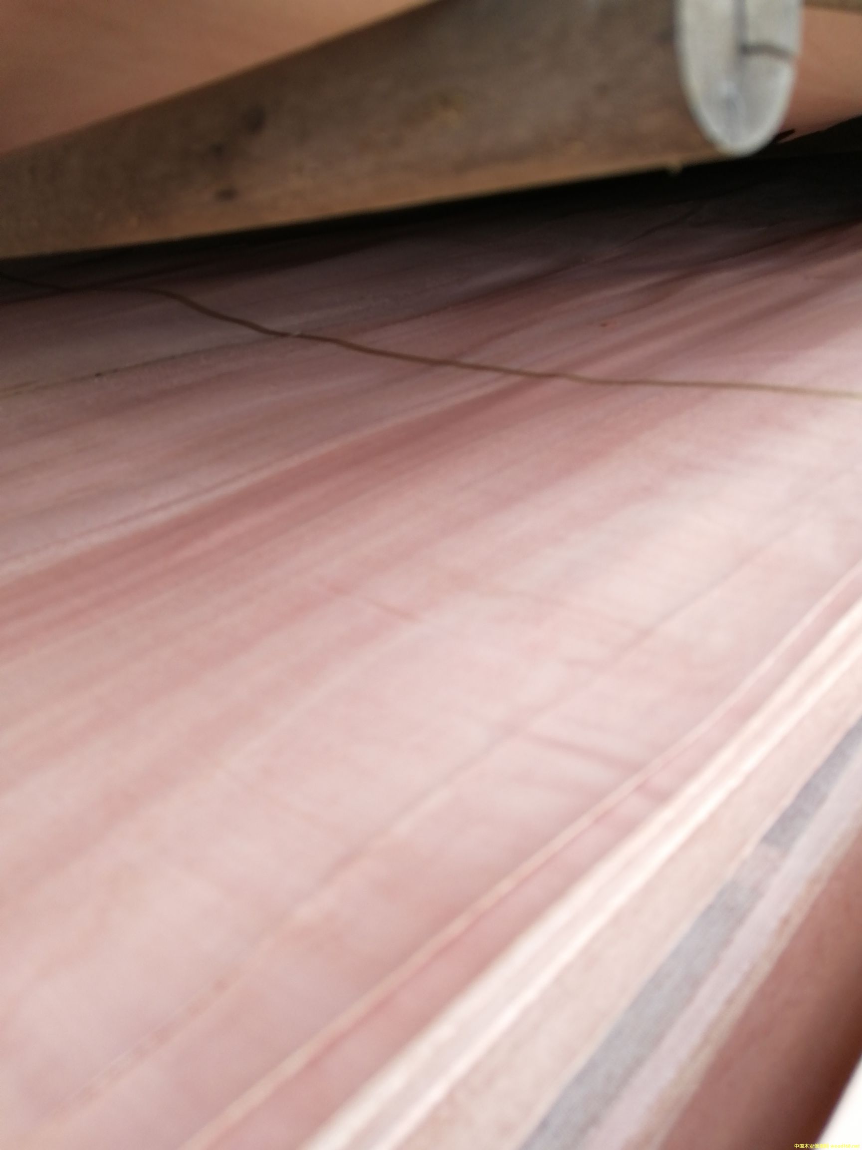 ���L���Ԕ����B