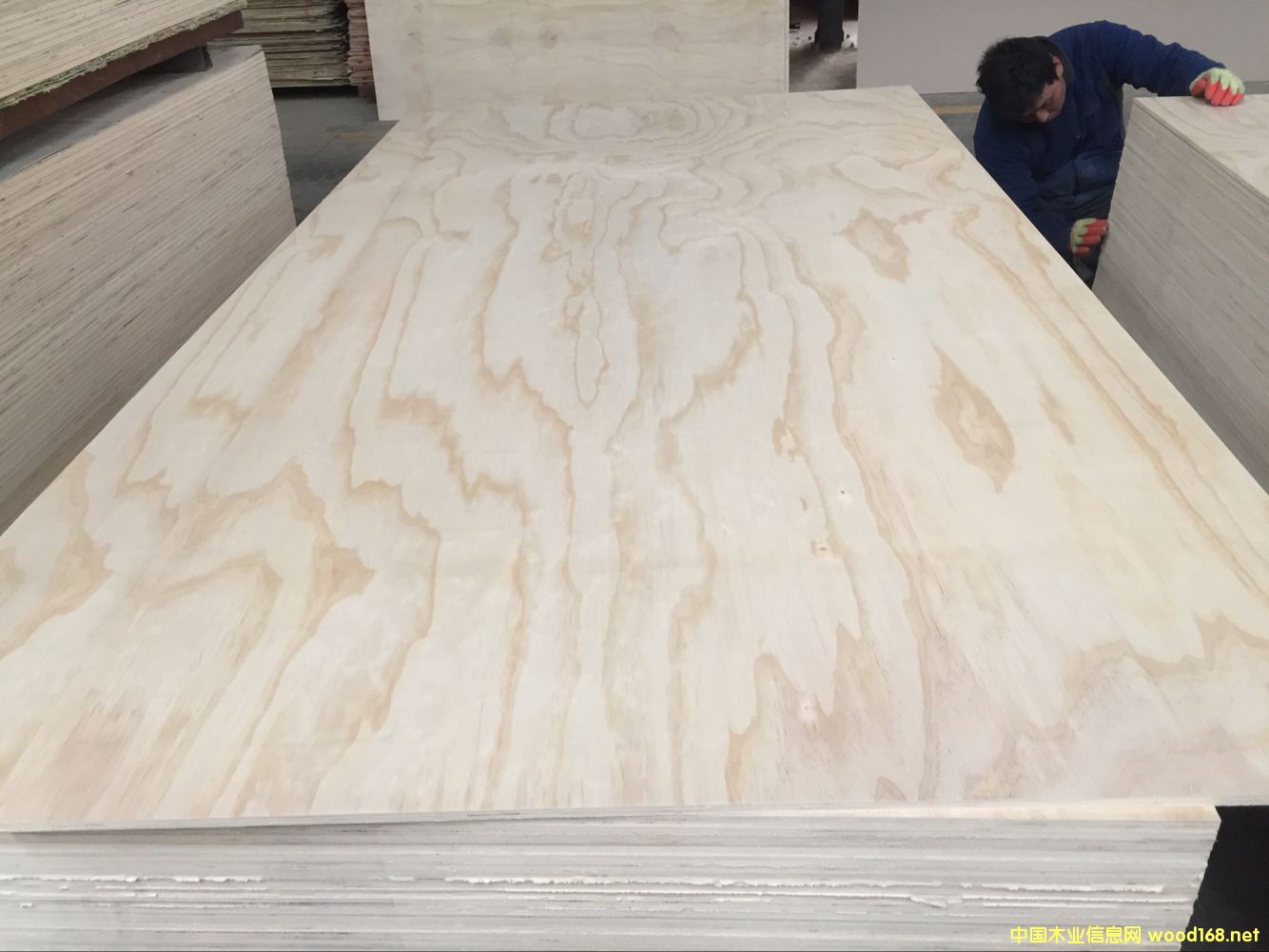 ��ľ���Ӱ�