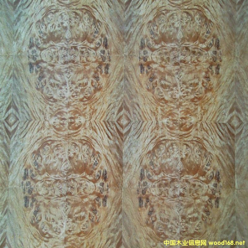 ��Ȼ��ؘ���ľ����