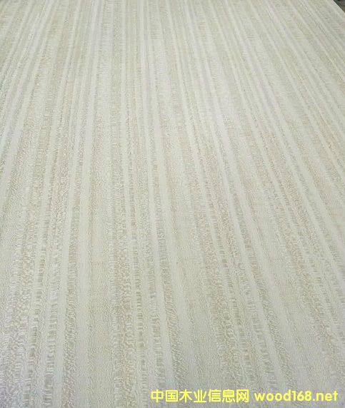 Ⱦɫ����˹ľ�����Ԕ����B