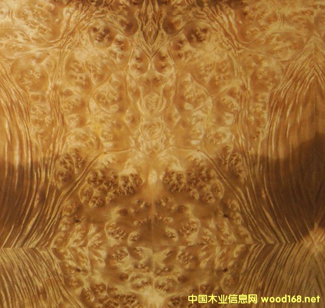  ��Ȼɽ�������ľ�����Ԕ����B