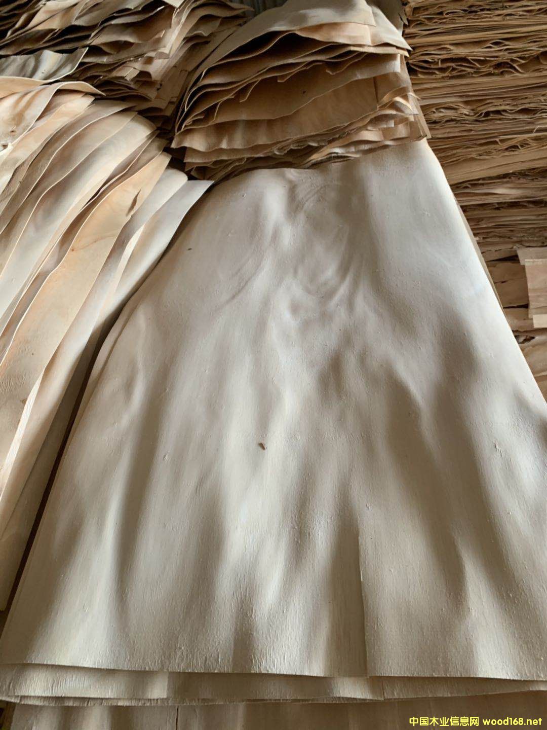 ���zľ�A��Ƥ��Ԕ��(x��)��B