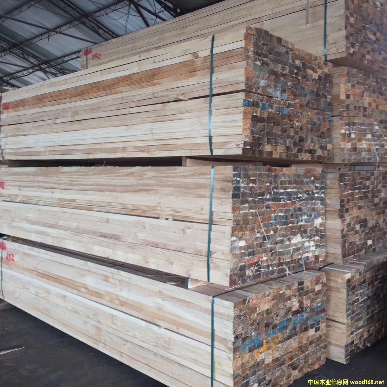 ������ľ ݗ���ɵ�Ԕ����B