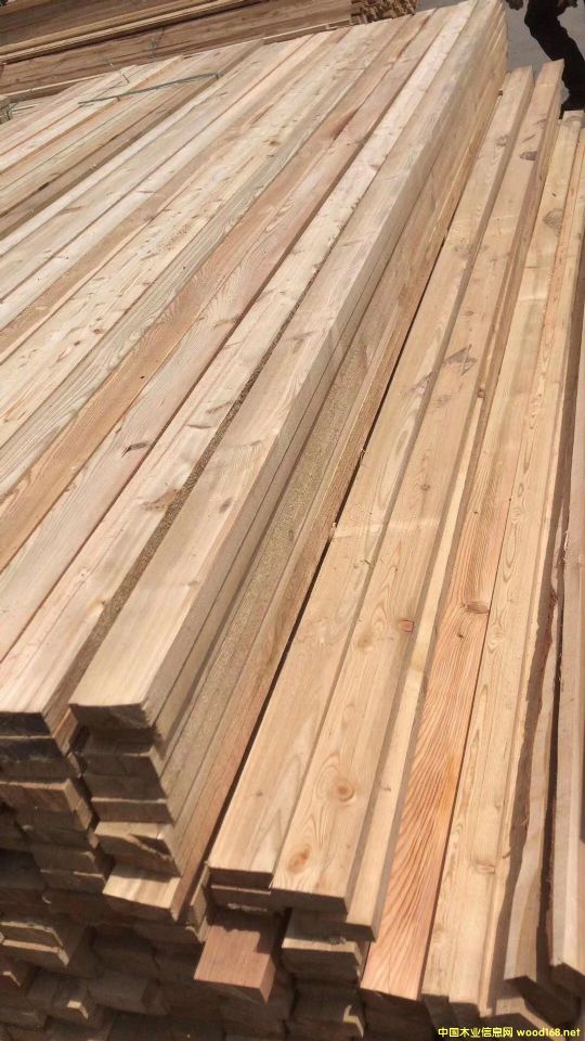 ﻿﻿���~��