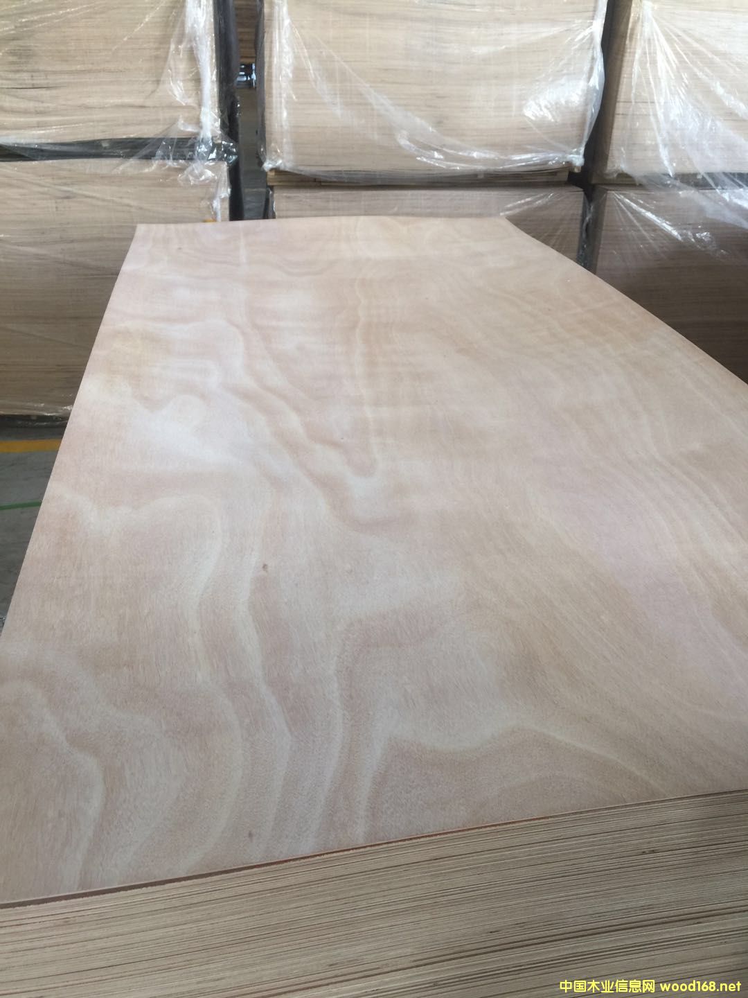 �һ�о��Ԕ����B