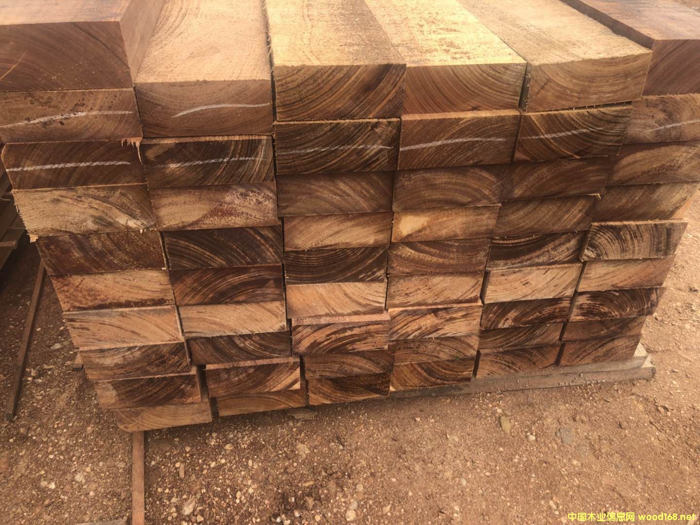 ���~����������