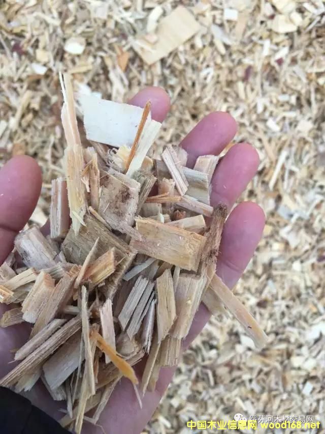 �羳��ُ�����_˹���~�����Іΰ�U��ľƬ