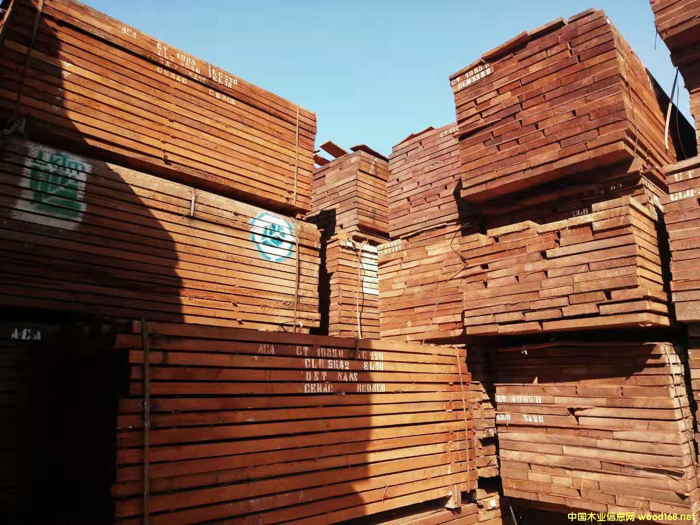 �����һ�о