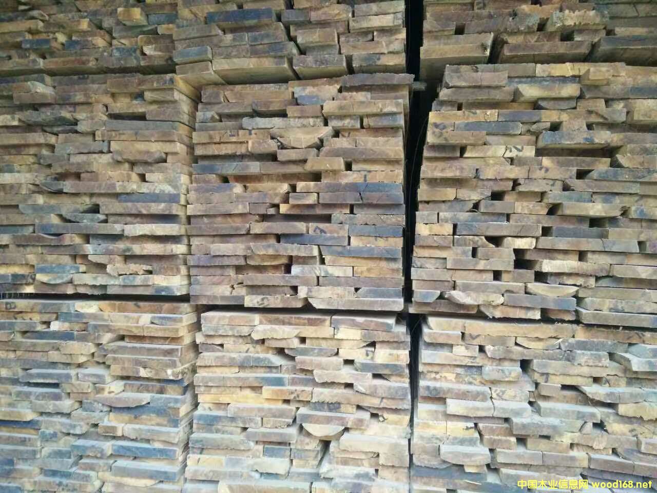 ������ľ��Ԕ����B