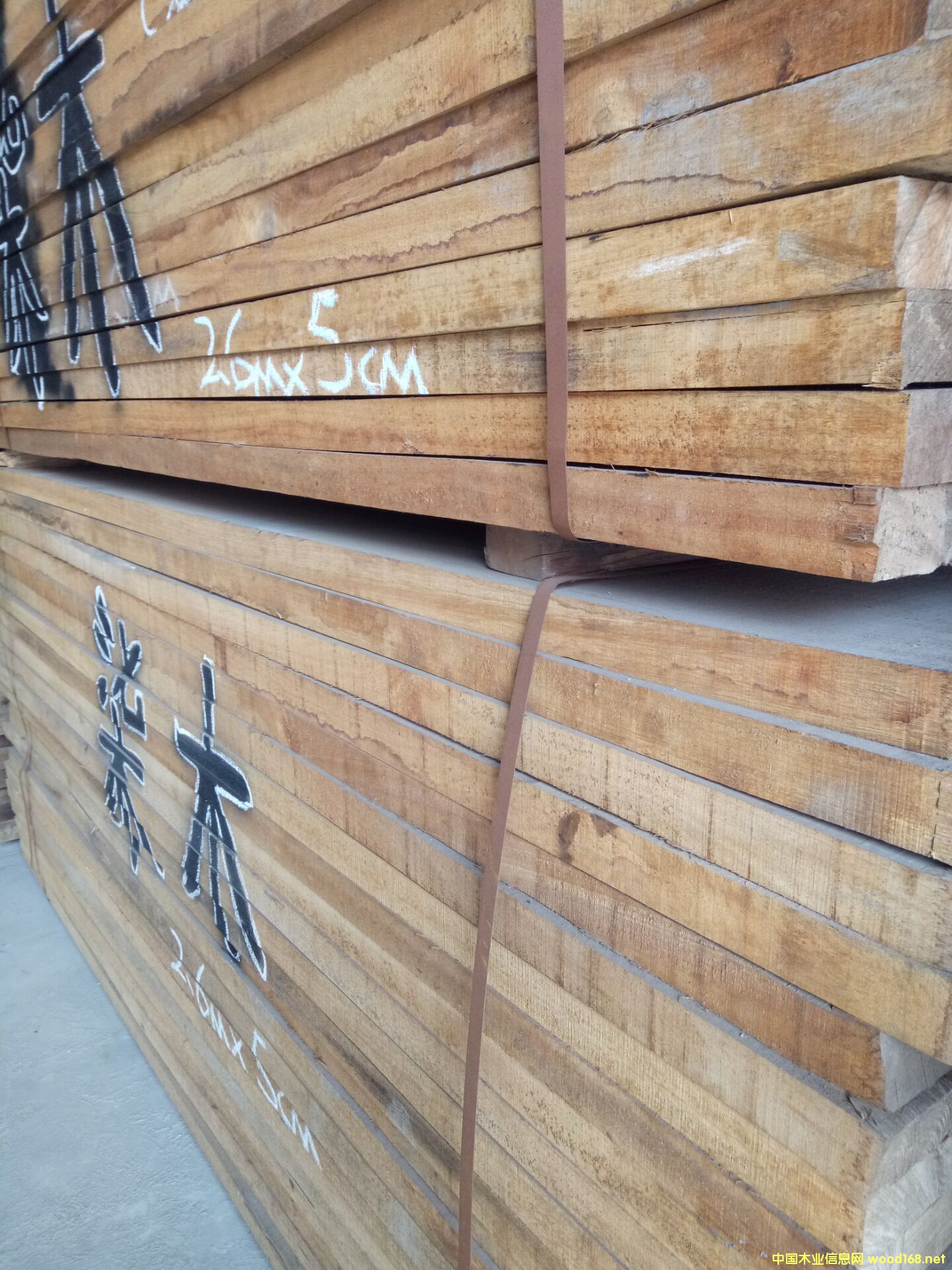 ������ľ��Ԕ����B