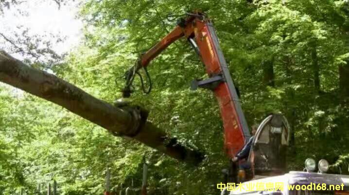 �W�ޙ�ľһ��؛Դ��Ԕ����B