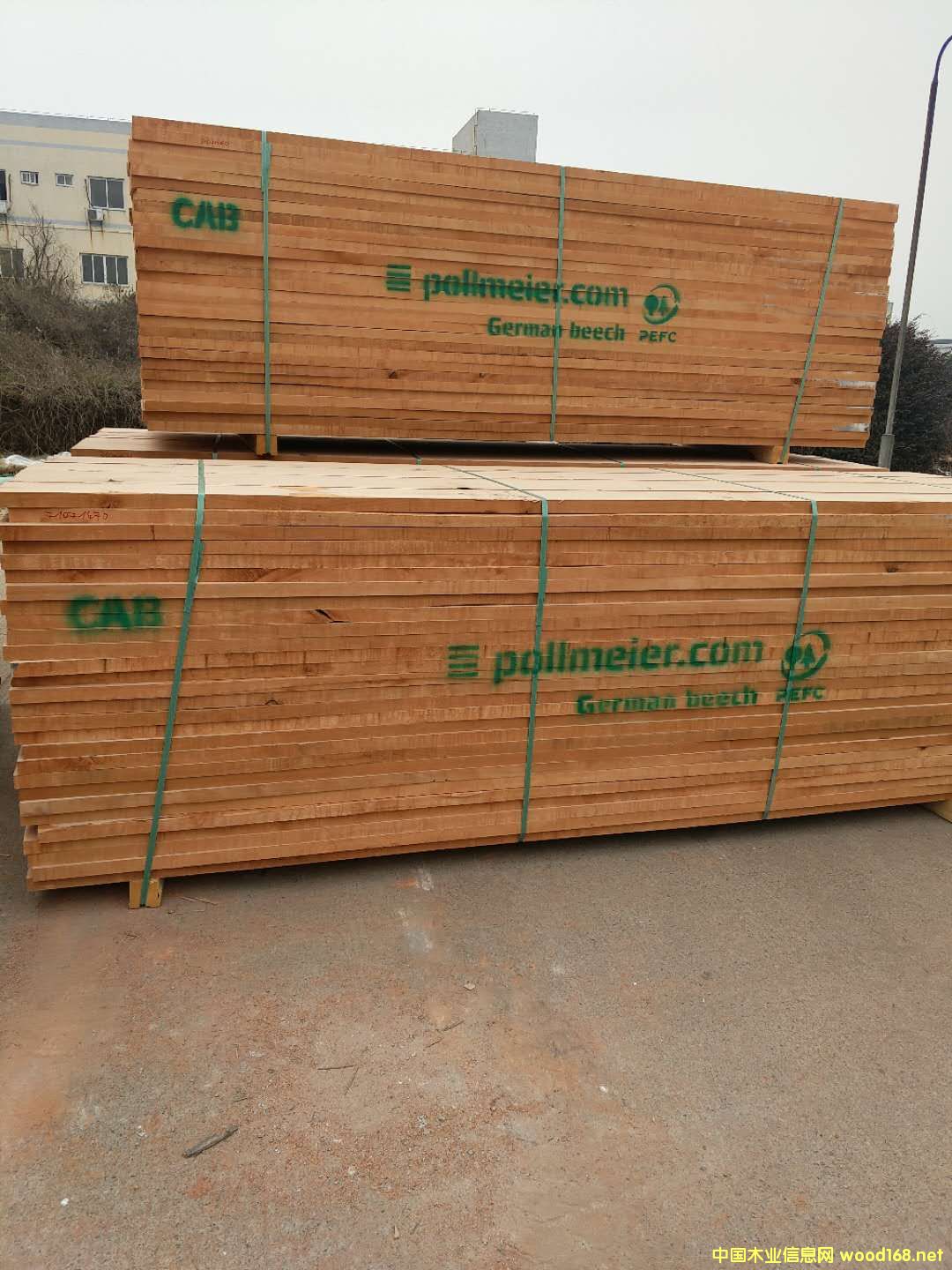 ����ľɰ���