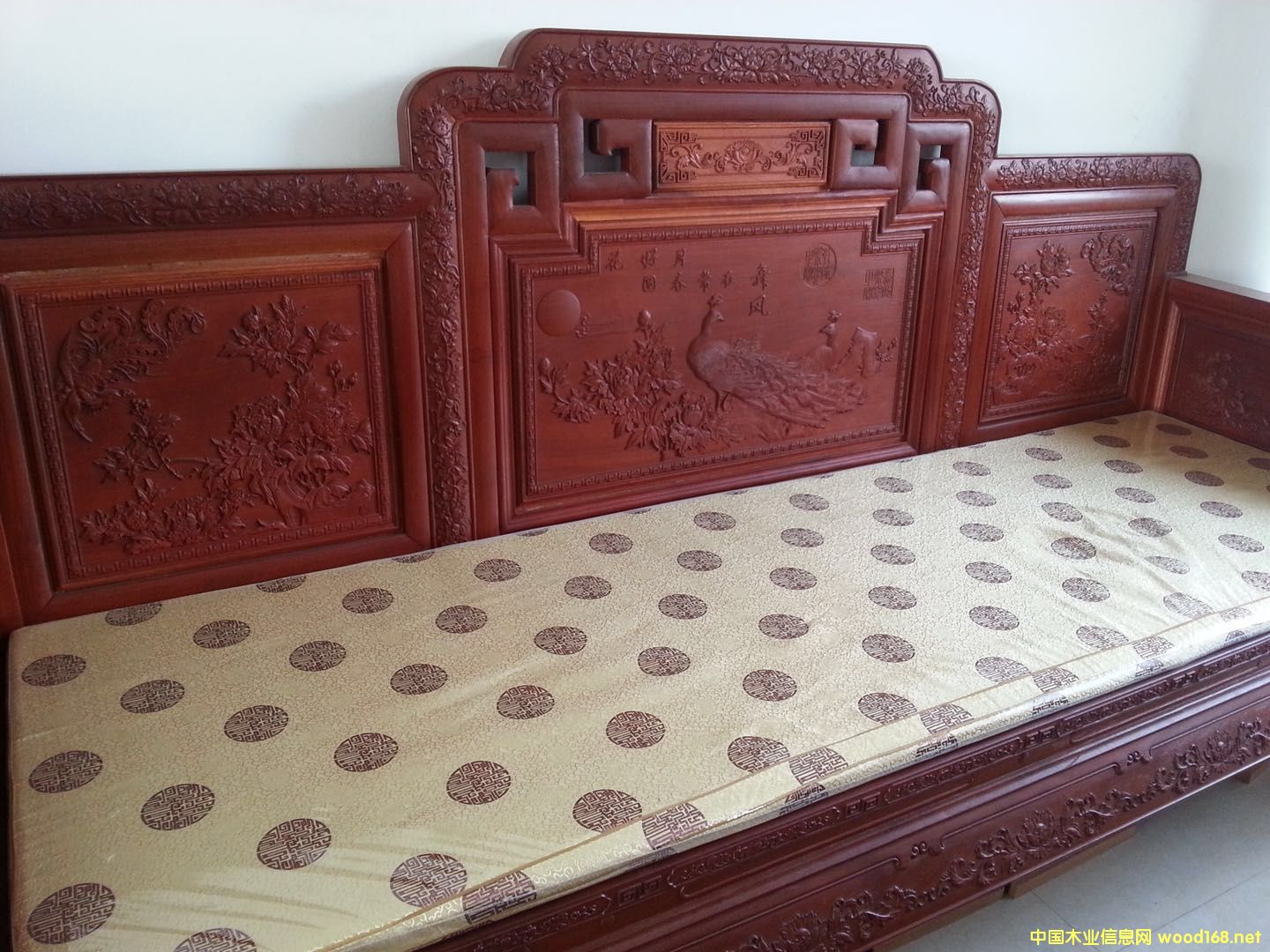 ��������ľ��Ԕ����B