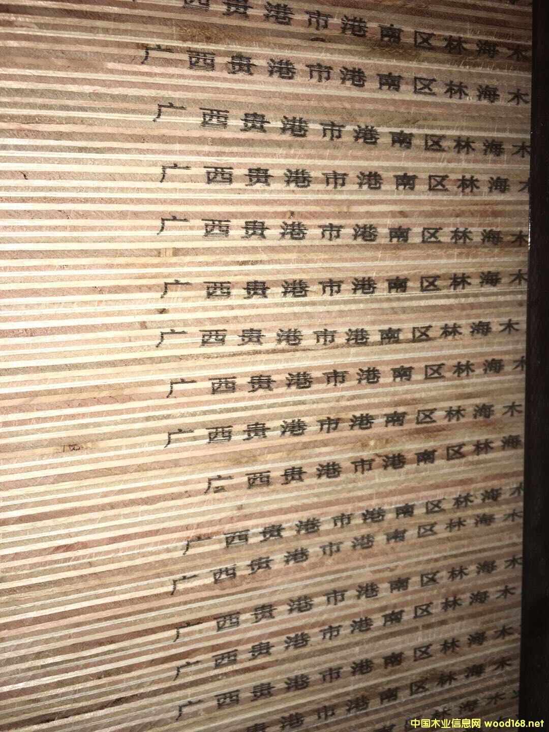  �N����Ӱ�