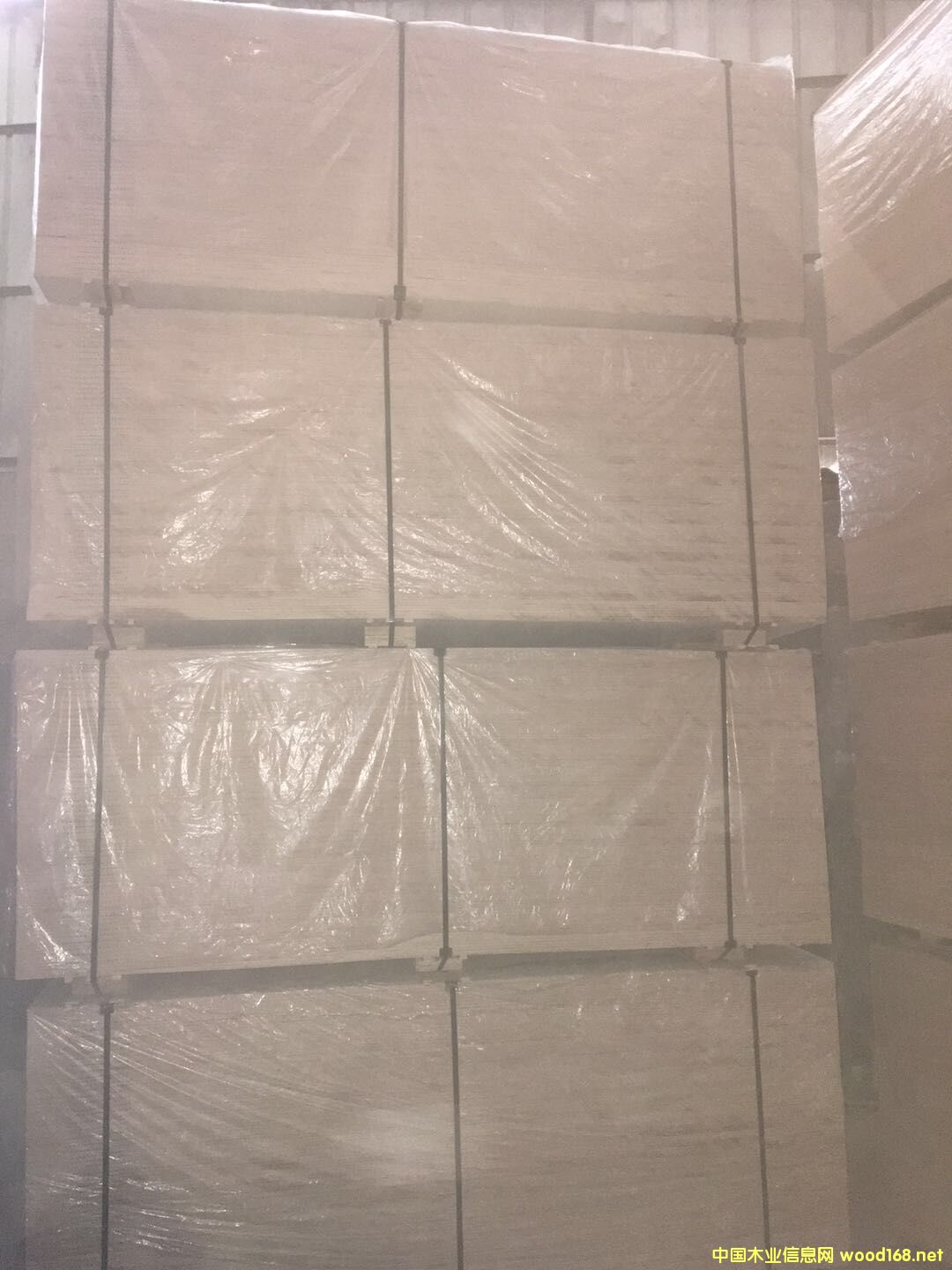  �N����Ӱ�