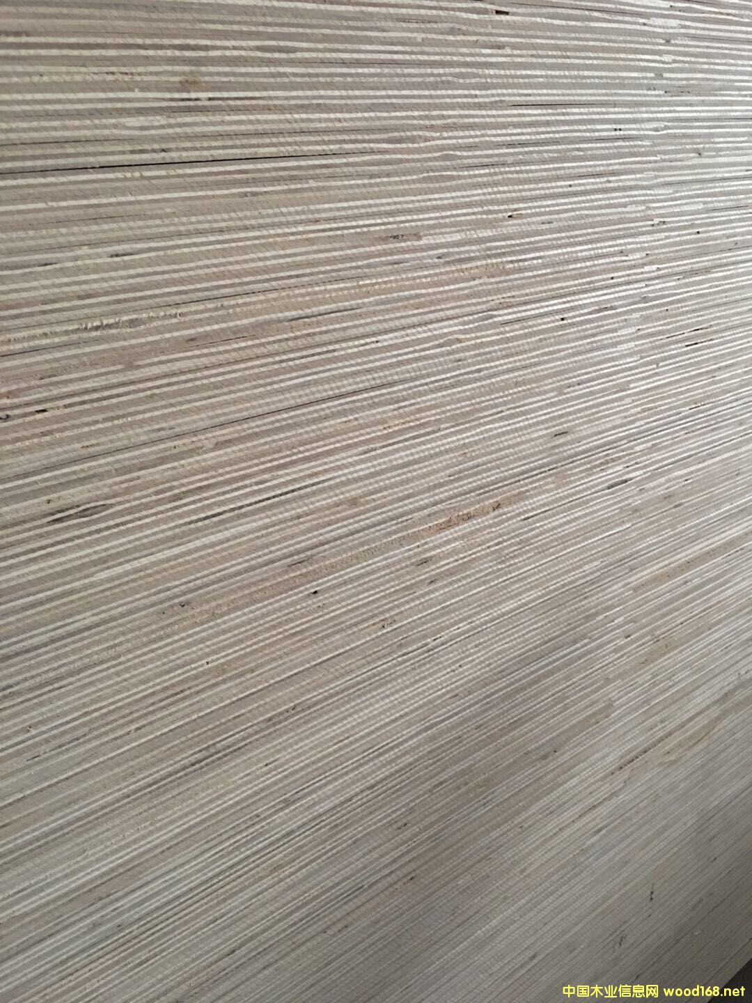  �N����Ӱ�