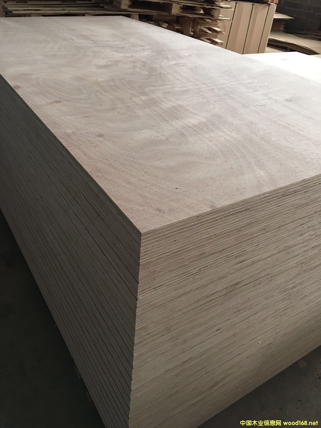  �N����Ӱ�