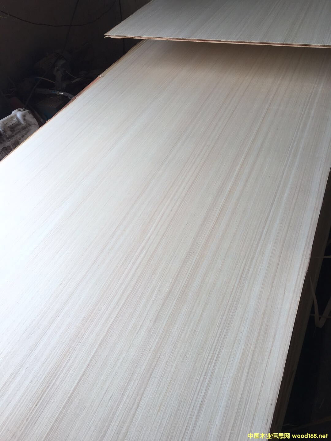  �N����Ӱ�