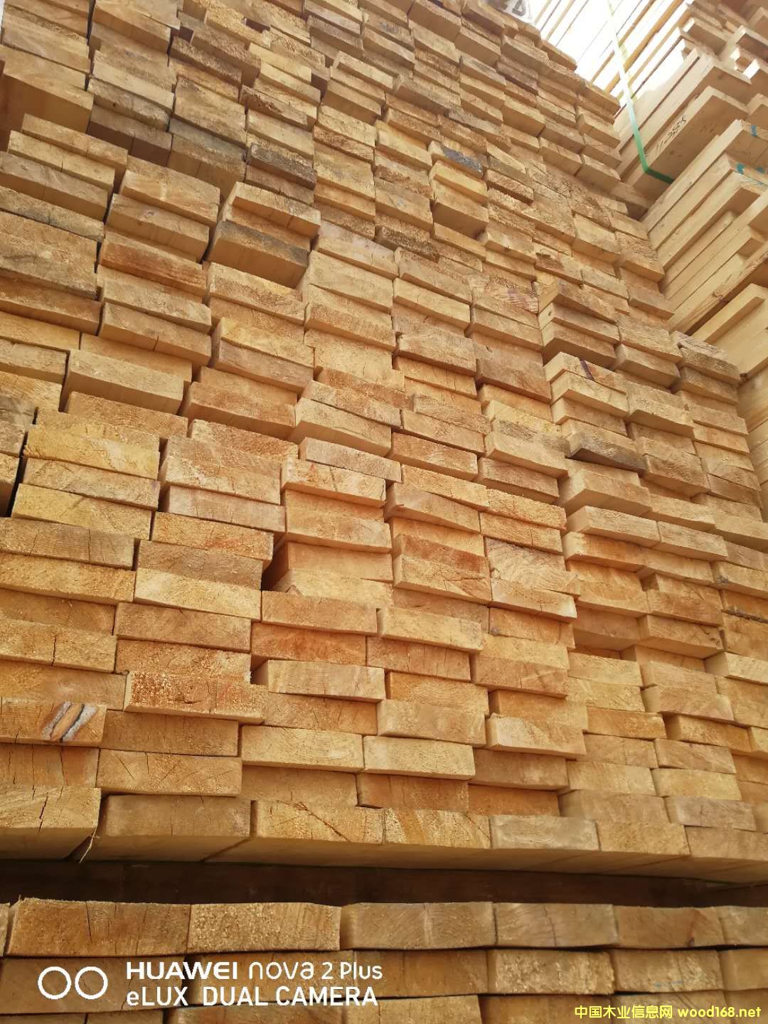   ��Ԕ����B