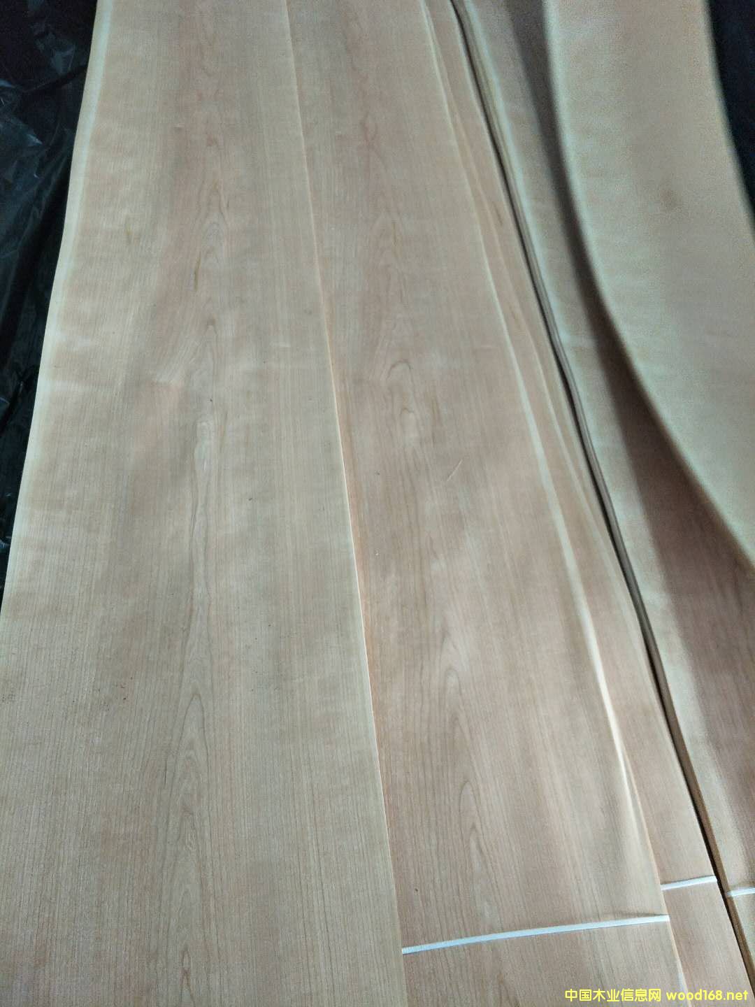 ���ҵ�Ԕ����B