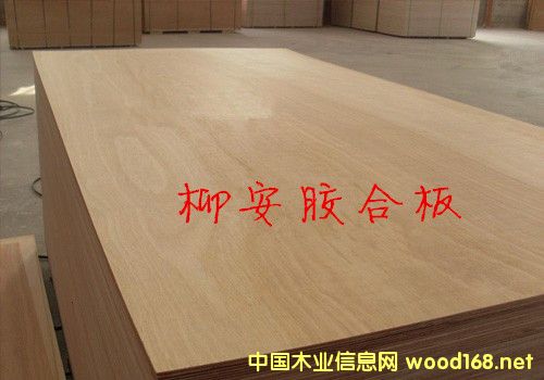 �Ҿ߰� �z�ϰ�