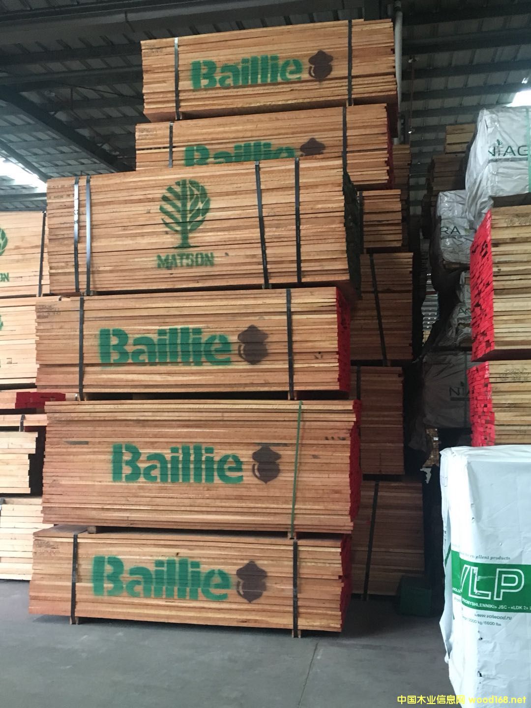 ��������ľ��Ԕ����B