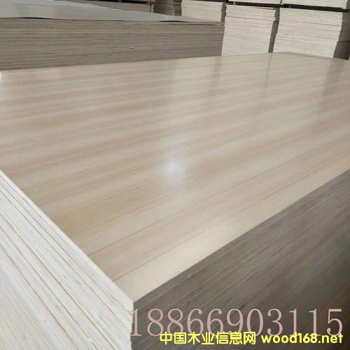 18mm�����������B���Ԕ����B