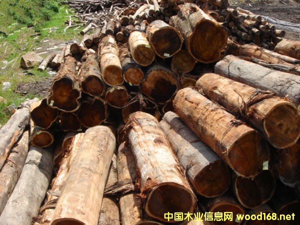 �����M�ڴ��~��˼�R����˼ľԭľ